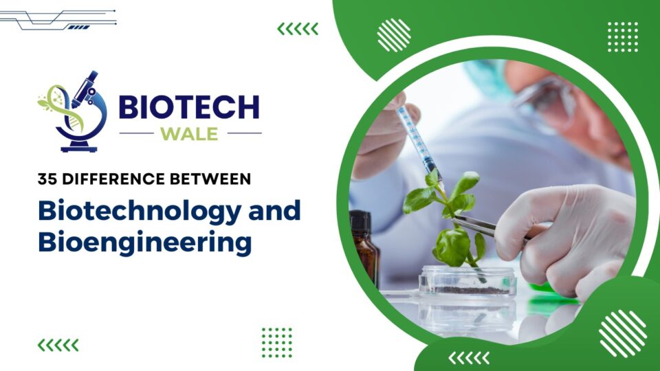 35 Difference Between Biotechnology and Bioengineering