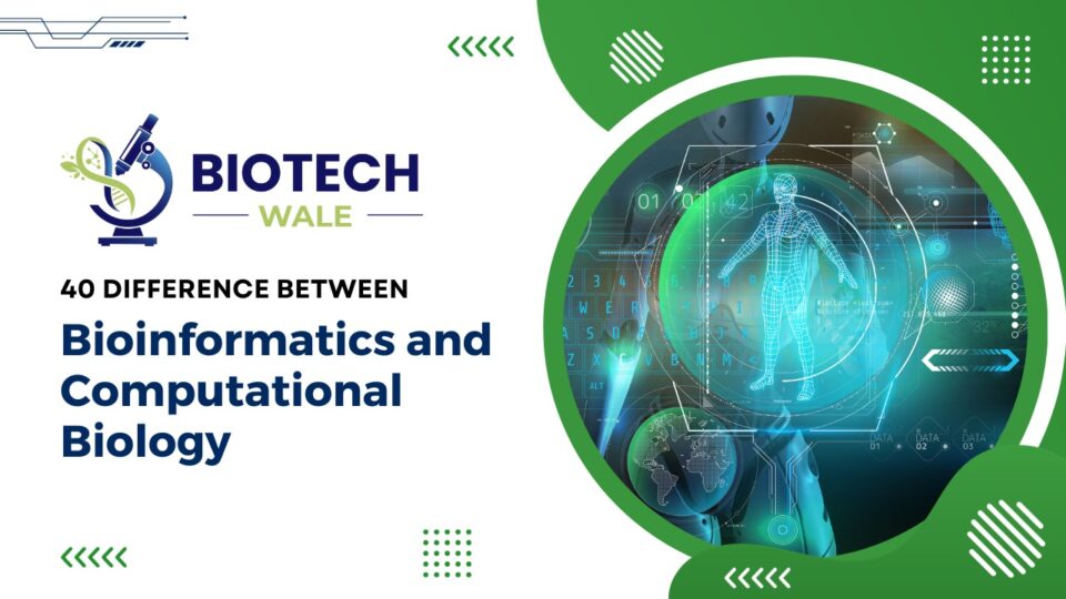 40 Difference Between Bioinformatics and Computational Biology