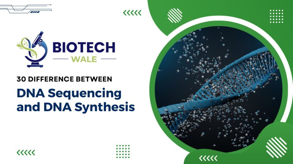 30 Difference Between DNA Sequencing and DNA Synthesis