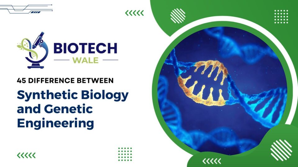 Synthetic Biology and Genetic Engineering