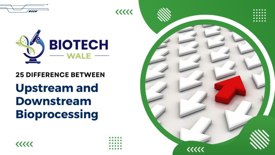 Upstream and Downstream Bioprocessing