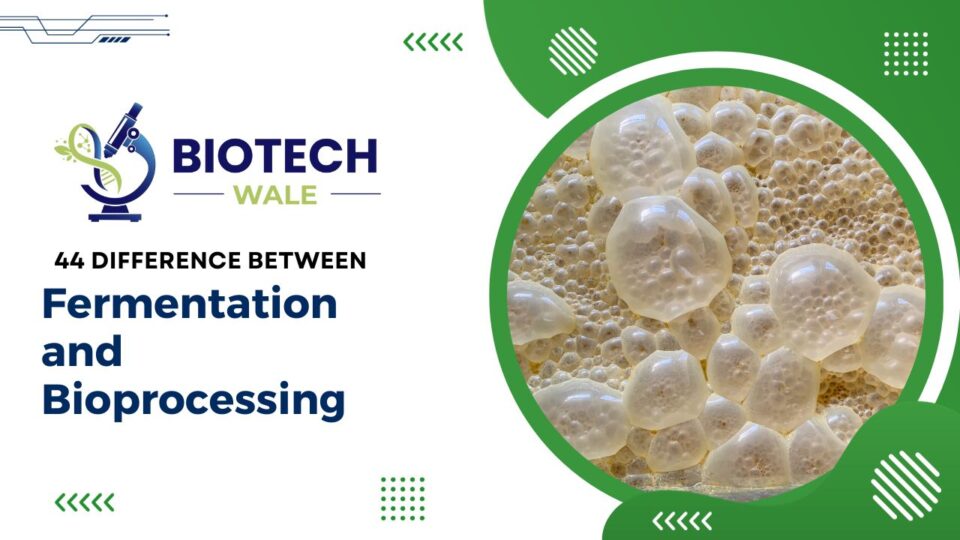 Fermentation and Bioprocessing