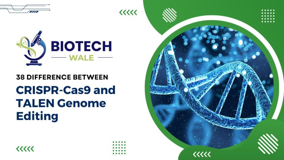 CRISPR-Cas9 and TALEN Genome Editing