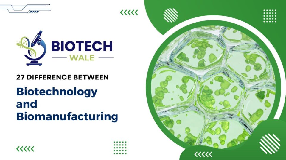 Biotechnology and Biomanufacturing