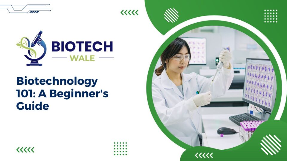 Biotechnology 101: A Beginner's Guide