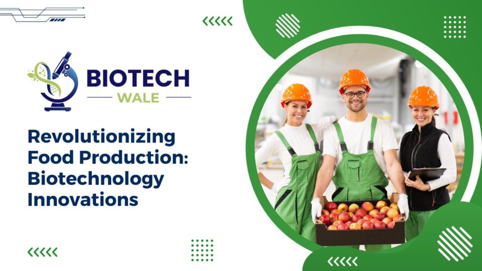 Revolutionizing Food Production: Biotechnology Innovations