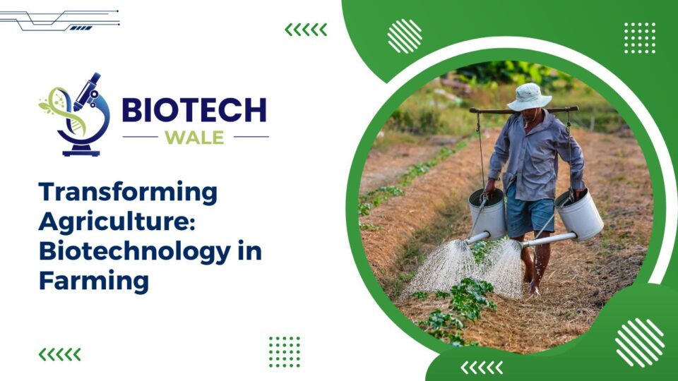 Transforming Agriculture: Biotechnology in Farming