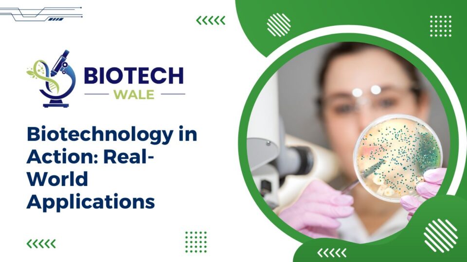 Biotechnology in Action: Real-World Applications