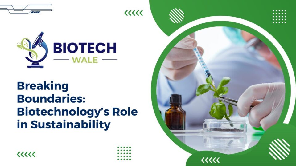 Breaking Boundaries: Biotechnology's Role in Sustainability