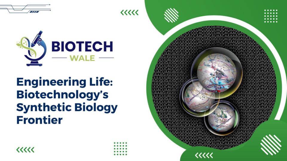 Engineering Life: Biotechnology's Synthetic Biology Frontier