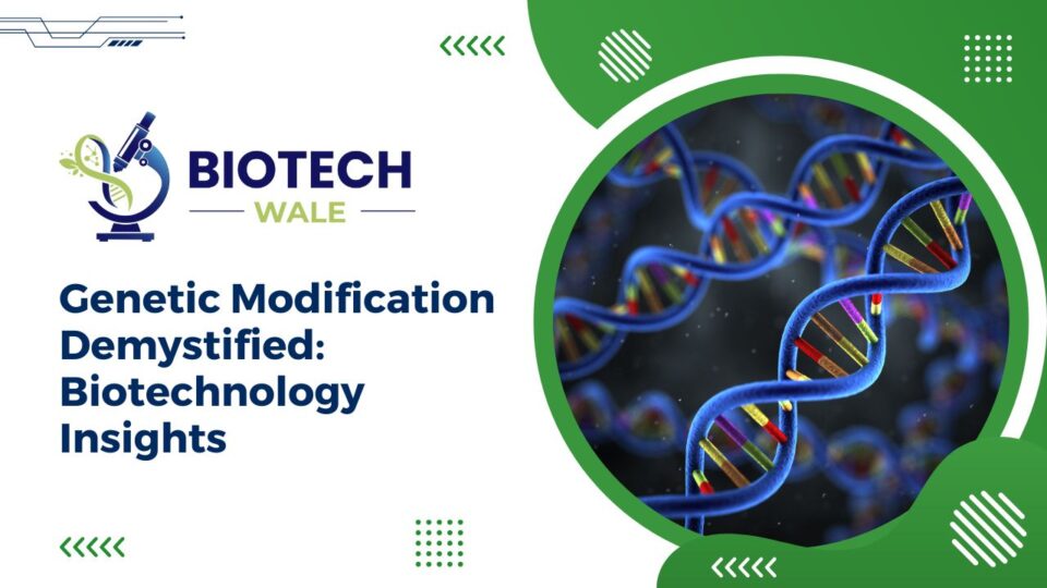 Genetic Modification Demystified: Biotechnology Insights