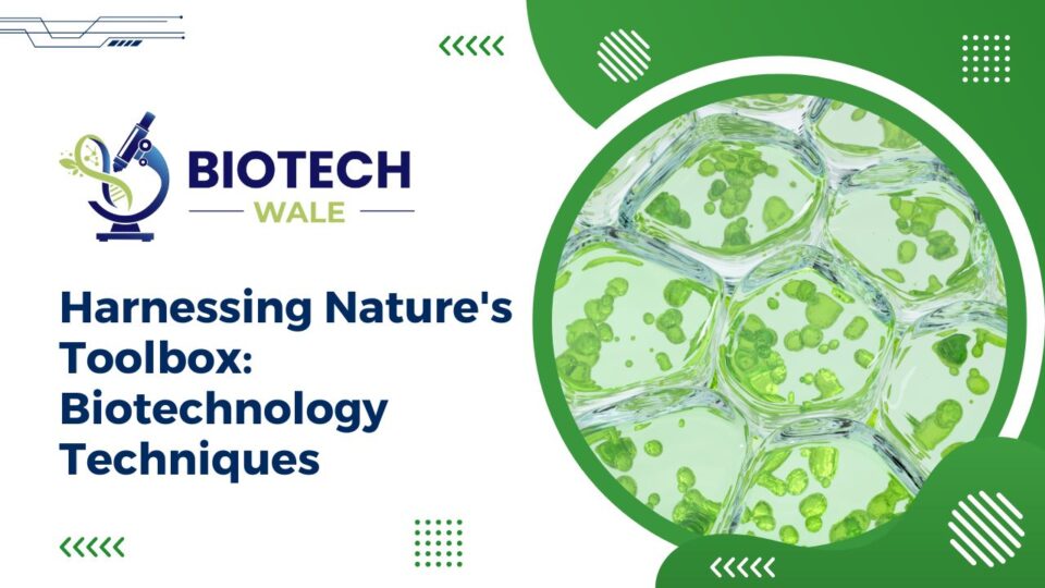 Harnessing Nature's Toolbox: Biotechnology Techniques