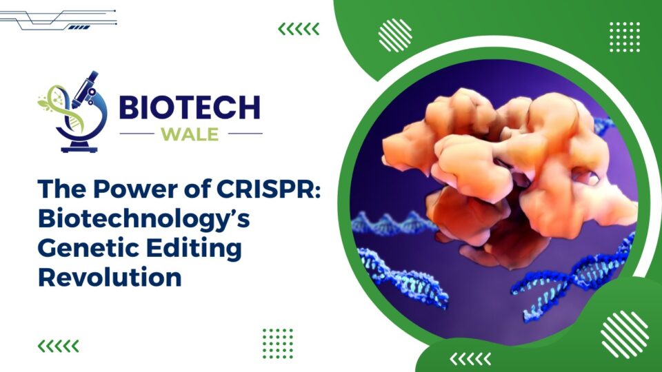 The Power of CRISPR: Biotechnology's Genetic Editing Revolution