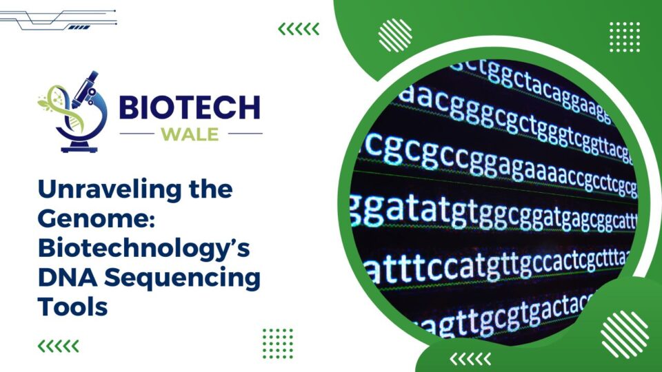 Unraveling the Genome: Biotechnology's DNA Sequencing Tools